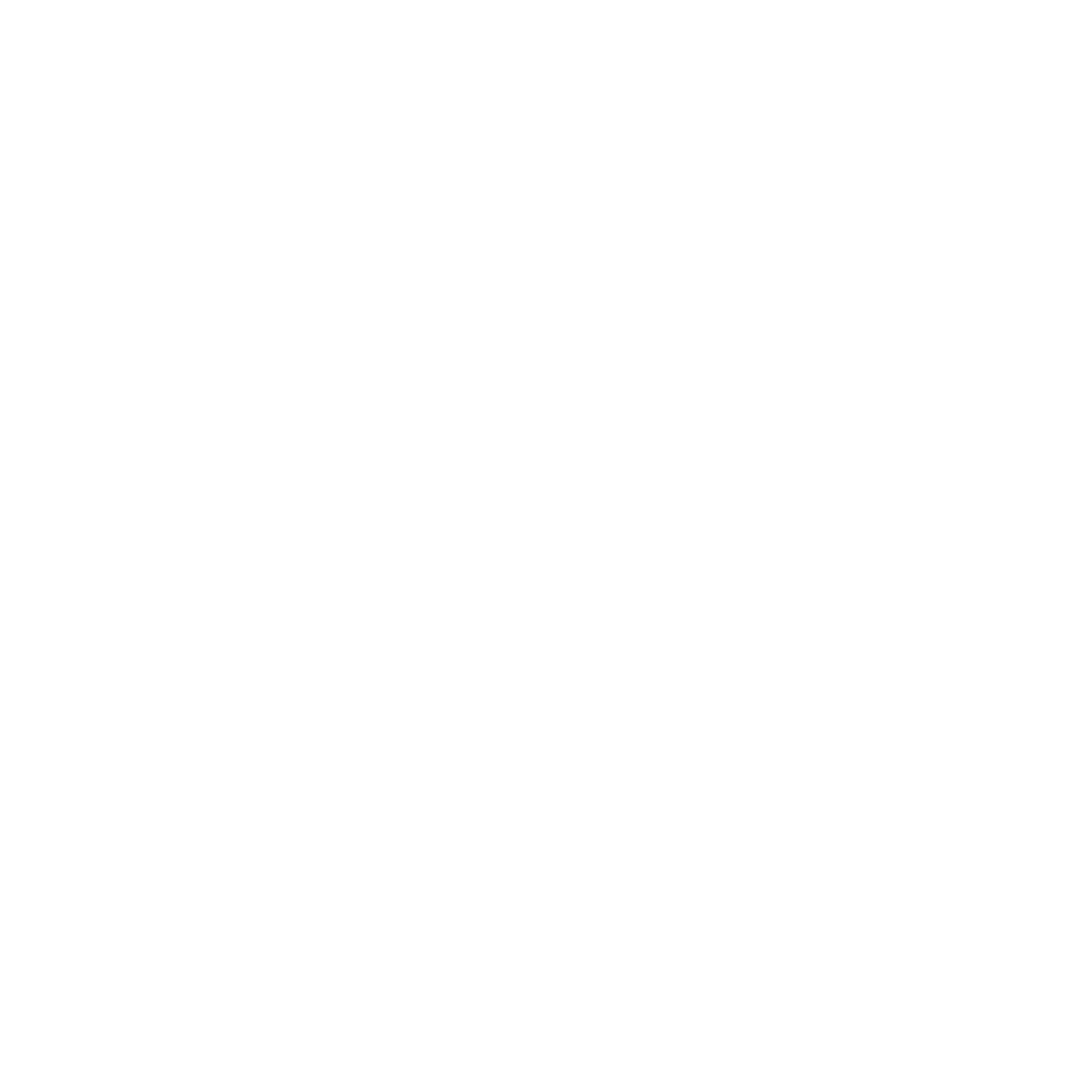 big mic logo white